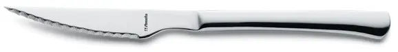 Couteau à steak Amefa
